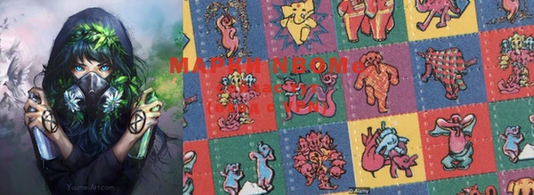прущие грибы Баксан